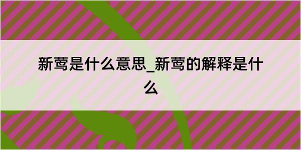 新莺是什么意思_新莺的解释是什么