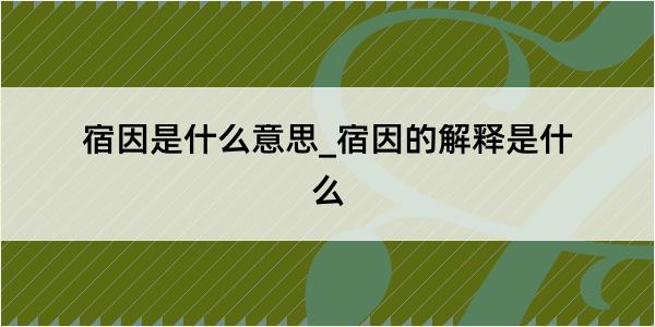 宿因是什么意思_宿因的解释是什么