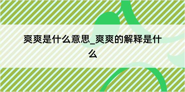 爽爽是什么意思_爽爽的解释是什么