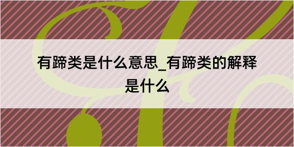 有蹄类是什么意思_有蹄类的解释是什么