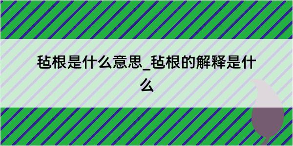 毡根是什么意思_毡根的解释是什么