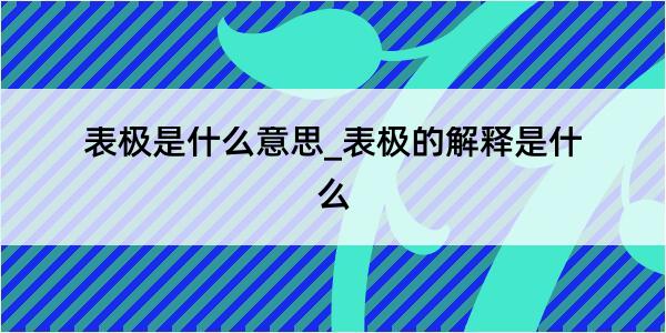 表极是什么意思_表极的解释是什么