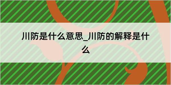 川防是什么意思_川防的解释是什么