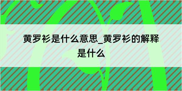 黄罗衫是什么意思_黄罗衫的解释是什么