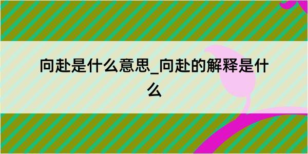 向赴是什么意思_向赴的解释是什么