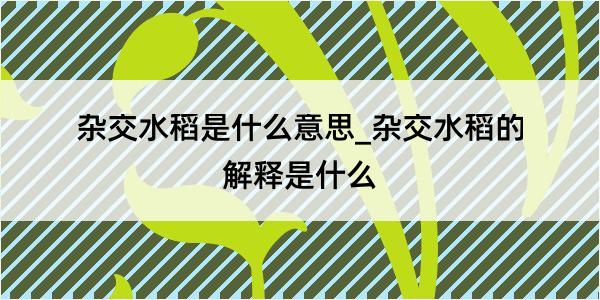 杂交水稻是什么意思_杂交水稻的解释是什么