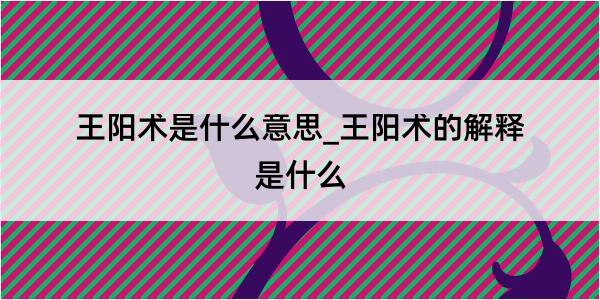 王阳术是什么意思_王阳术的解释是什么