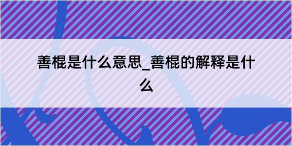 善棍是什么意思_善棍的解释是什么