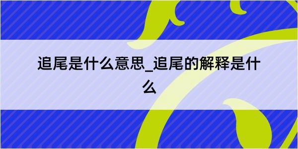 追尾是什么意思_追尾的解释是什么