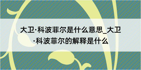 大卫·科波菲尔是什么意思_大卫·科波菲尔的解释是什么