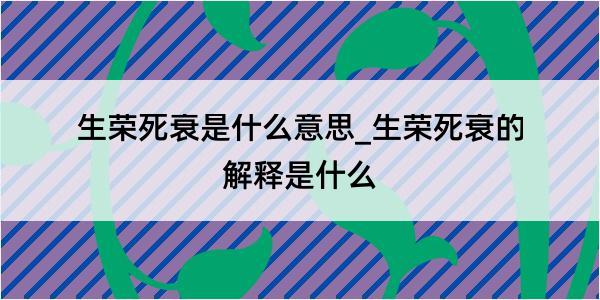 生荣死衰是什么意思_生荣死衰的解释是什么