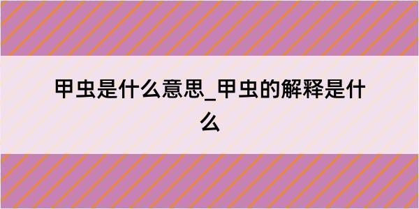 甲虫是什么意思_甲虫的解释是什么