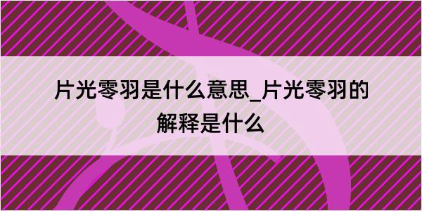 片光零羽是什么意思_片光零羽的解释是什么