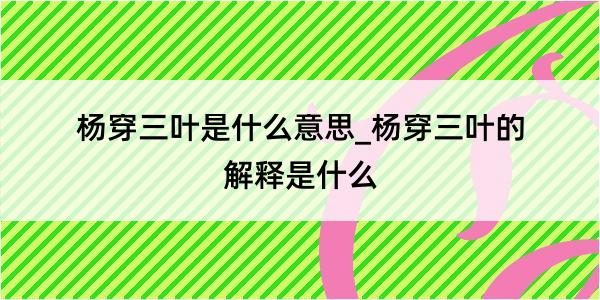 杨穿三叶是什么意思_杨穿三叶的解释是什么