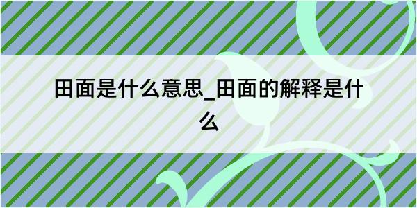 田面是什么意思_田面的解释是什么