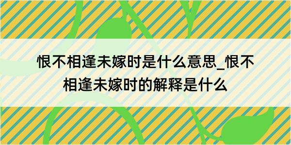 恨不相逢未嫁时是什么意思_恨不相逢未嫁时的解释是什么