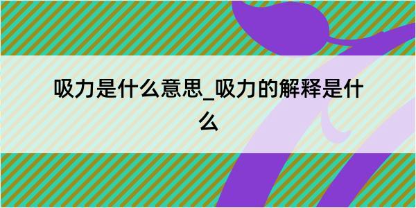 吸力是什么意思_吸力的解释是什么