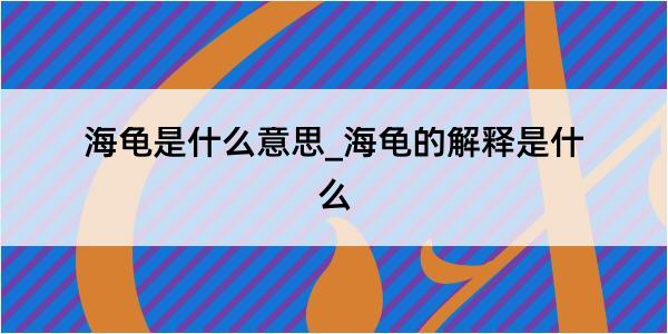 海龟是什么意思_海龟的解释是什么