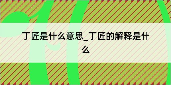 丁匠是什么意思_丁匠的解释是什么