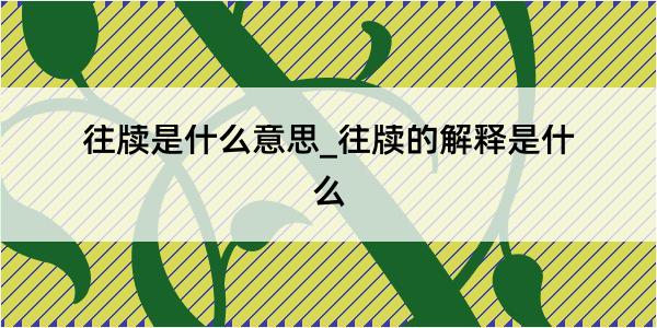 往牍是什么意思_往牍的解释是什么