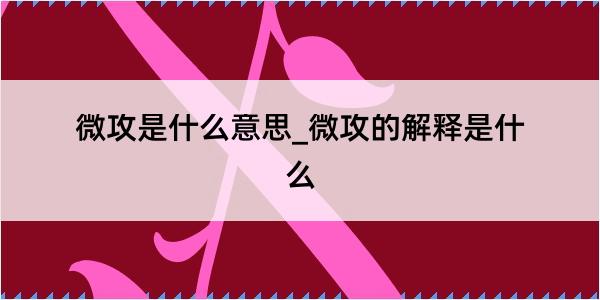 微攻是什么意思_微攻的解释是什么