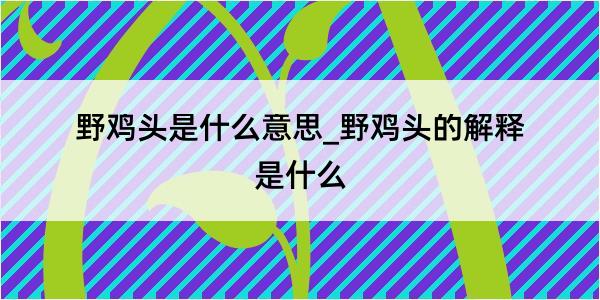 野鸡头是什么意思_野鸡头的解释是什么