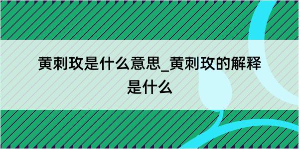 黄刺玫是什么意思_黄刺玫的解释是什么