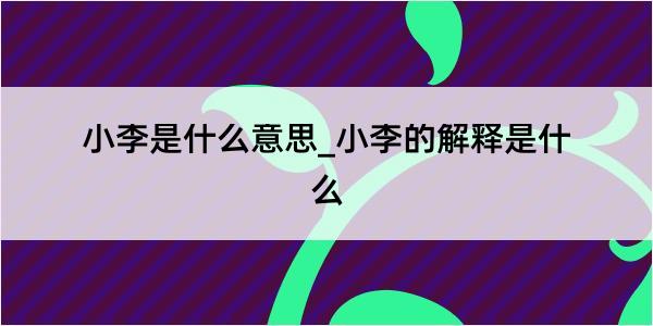 小李是什么意思_小李的解释是什么