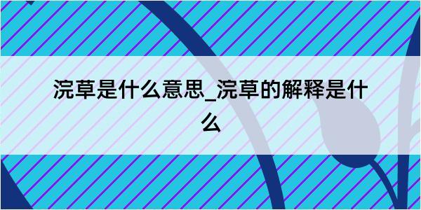 浣草是什么意思_浣草的解释是什么