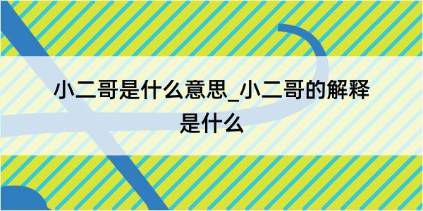 小二哥是什么意思_小二哥的解释是什么