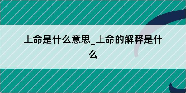 上命是什么意思_上命的解释是什么