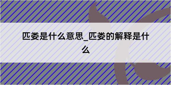 匹娄是什么意思_匹娄的解释是什么