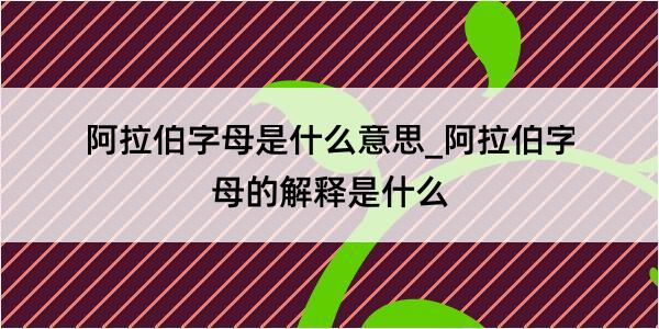 阿拉伯字母是什么意思_阿拉伯字母的解释是什么