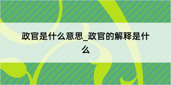 政官是什么意思_政官的解释是什么