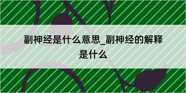 副神经是什么意思_副神经的解释是什么