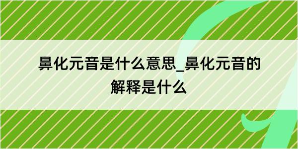 鼻化元音是什么意思_鼻化元音的解释是什么