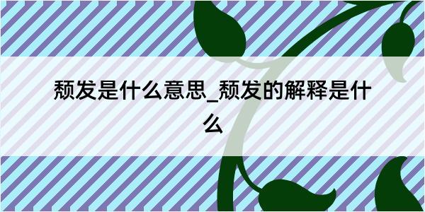 颓发是什么意思_颓发的解释是什么