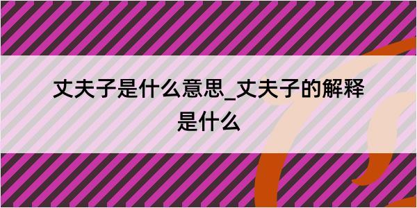 丈夫子是什么意思_丈夫子的解释是什么