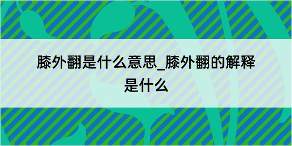 膝外翻是什么意思_膝外翻的解释是什么