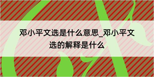 邓小平文选是什么意思_邓小平文选的解释是什么