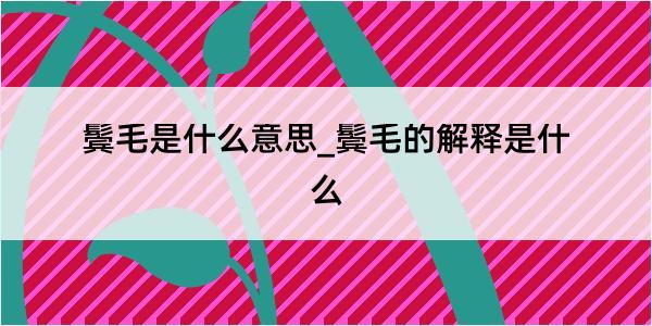 鬓毛是什么意思_鬓毛的解释是什么