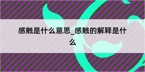 感触是什么意思_感触的解释是什么