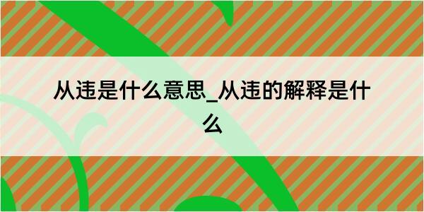 从违是什么意思_从违的解释是什么