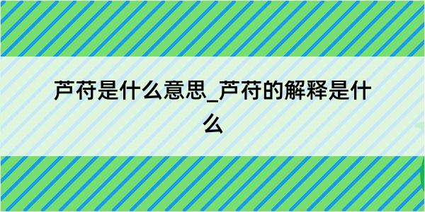 芦苻是什么意思_芦苻的解释是什么