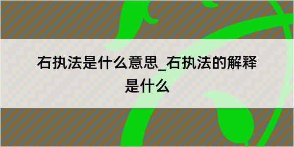 右执法是什么意思_右执法的解释是什么