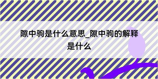 隙中驹是什么意思_隙中驹的解释是什么