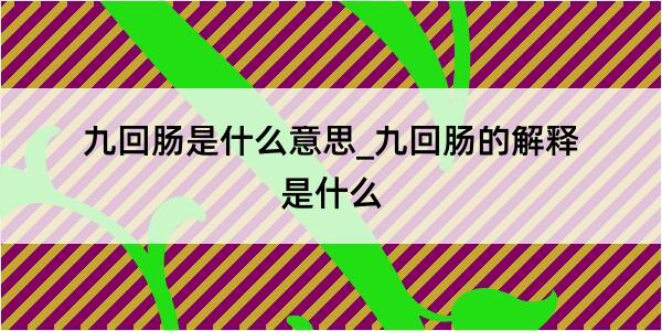 九回肠是什么意思_九回肠的解释是什么