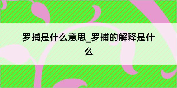 罗捕是什么意思_罗捕的解释是什么