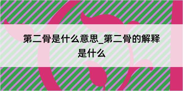 第二骨是什么意思_第二骨的解释是什么