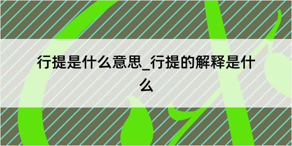 行提是什么意思_行提的解释是什么